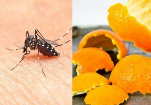 Đuổi muỗi bằng vỏ cam