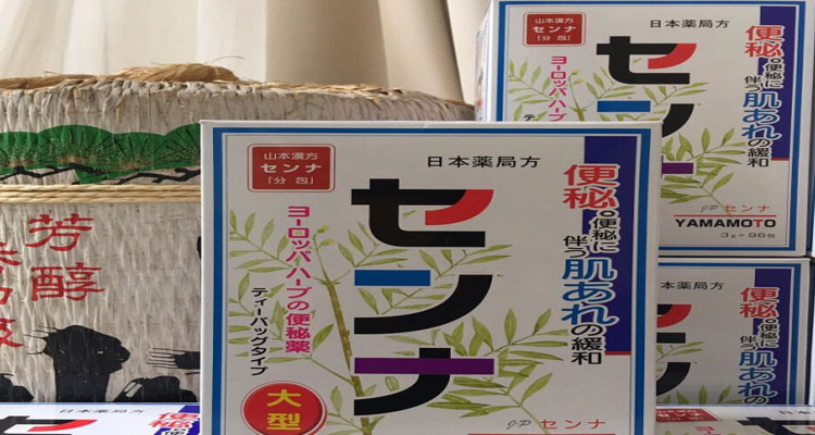 Thành phần trà trị táo bón cho mẹ sau sinh Yamamoto hộp 48 gói được làm từ lá, quả của cây phan tả diệp