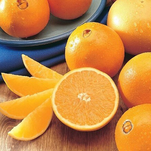vitamin C cam quả