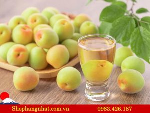 rượu mơ choya nhật bản loại nào ngon nhất